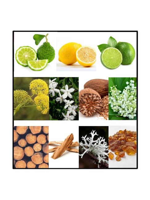 Fila Red Eau De Toilette 100 ml