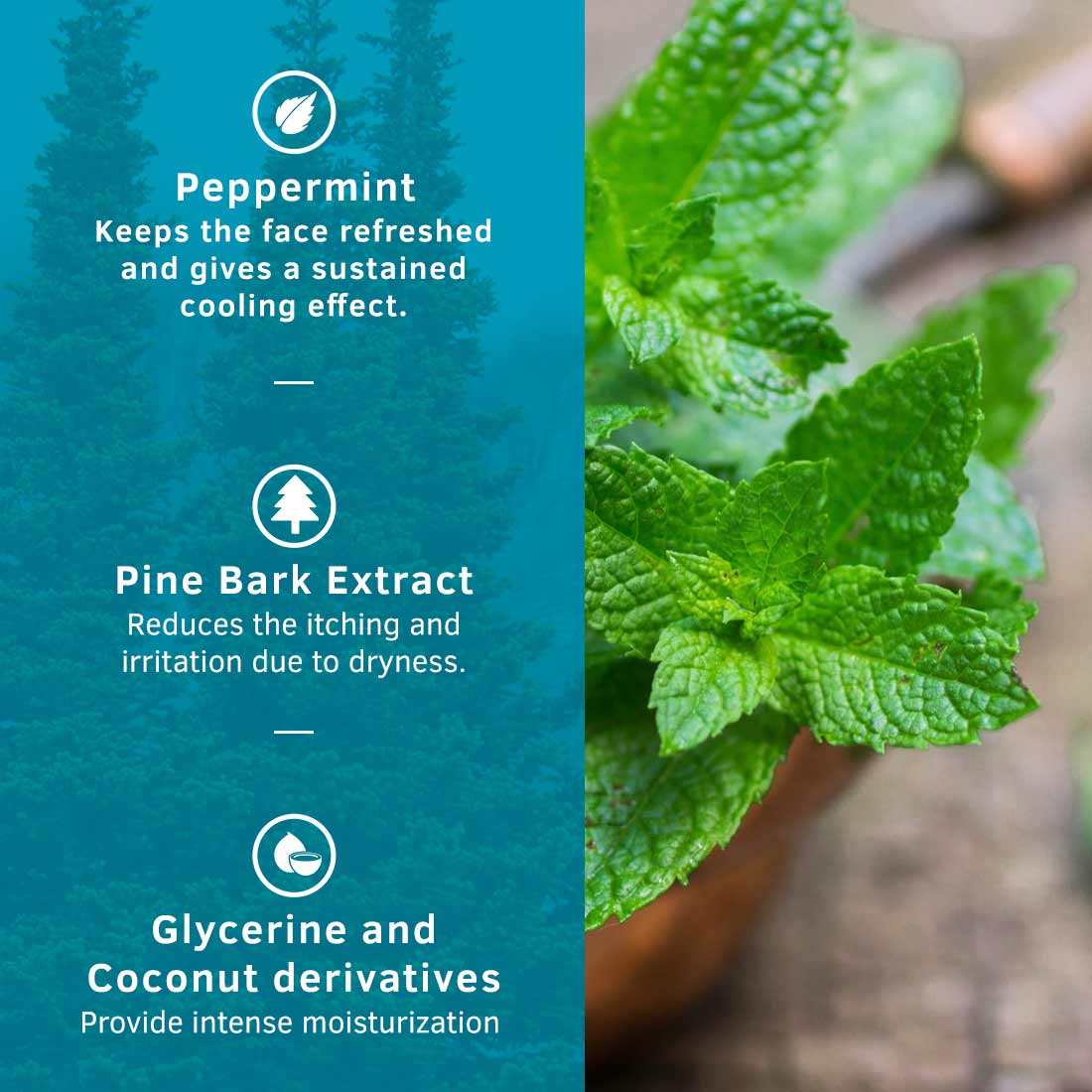 Ustraa Face Wash - Dry Skin (Mint Cool), 200g