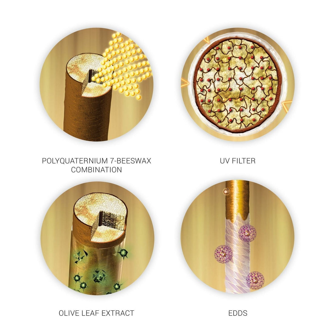 Wella Professionals SP Color Save Conditioner, 200ml5