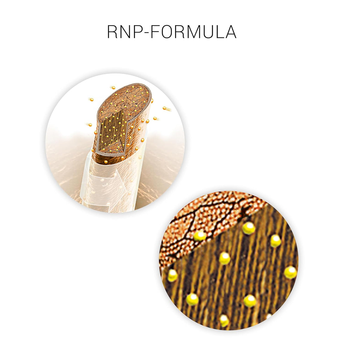 Wella Professionals SP Repair Conditioner, 200ml4